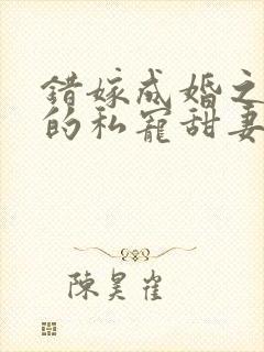 错嫁成婚之总裁的私宠甜妻阅读小说