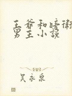 王爷和暗卫的双男主小说