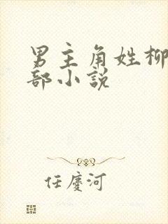 男主角姓柳的全部小说