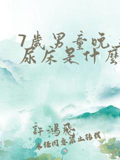 7岁男童晚上老尿床是什么原因