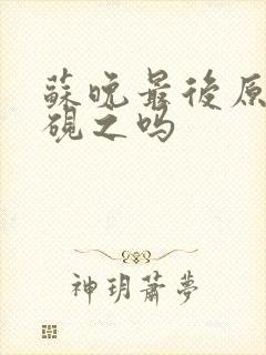 苏晚最后原谅顾砚之吗