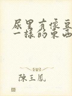 尿里有像豆腐渣一样的东西