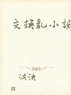 交换乱小说