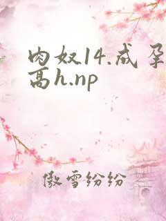 肉奴14.成孕高h.np