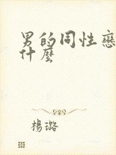 男的同性恋俗称什么