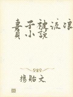 妻子被流浪汉欺负小说