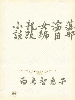 小龙女沦落记小说改编自哪部小说