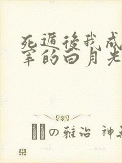 死遁后我成了哒宰的白月光