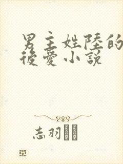 男主姓陆的先婚后爱小说