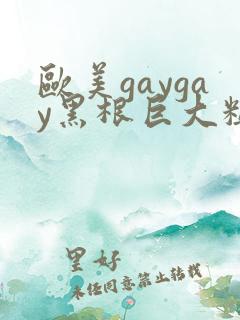 欧美gaygay黑根巨大粗