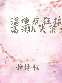 温迪疯狂揉肉蒂高潮h失禁文