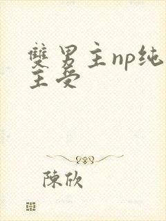 双男主np纯肉主受