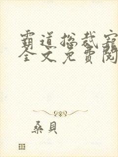 霸道总裁宠上天全文免费阅读全文