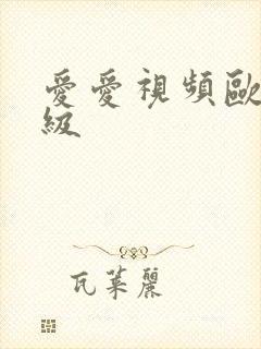 爱爱视频欧美一级