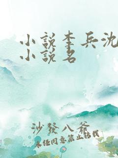 小说李兵沈思的小说名