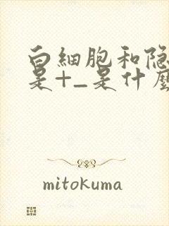 白细胞和隐血都是+_是什么意思