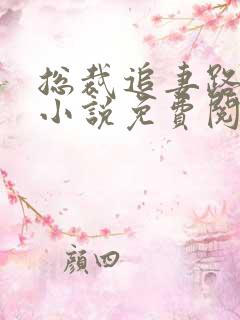 总裁追妻路漫漫小说免费阅读全文