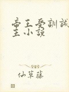 帝王受训诫双男主小说