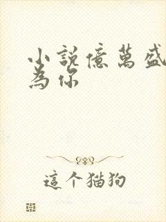 小说亿万盛宠只为你