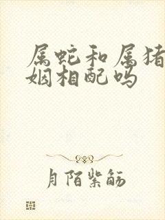 属蛇和属猪的婚姻相配吗