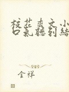 校花爽文小说一口气听到结局