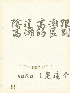 阴道高潮跟阴蒂高潮的区别