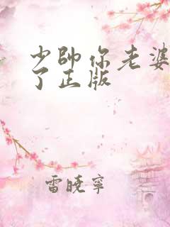 少帅你老婆又跑了正版