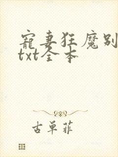 宠妻狂魔别太坏txt全本