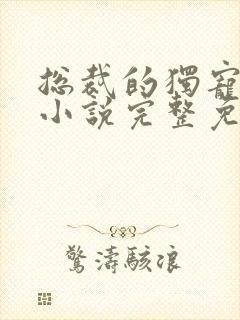 总裁的独宠甜妻小说完整免费