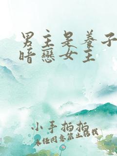 男主是养子隐忍暗恋女主