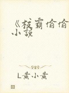 《校霸偷偷爱》小说