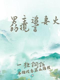 男主追妻火葬场的现言