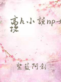 高h小说np女攻