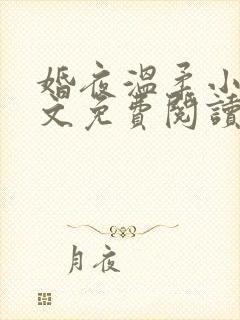 婚夜温柔小说全文免费阅读txt