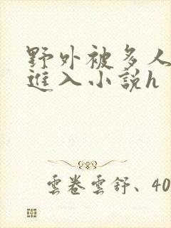 野外被多人蹂躏进入小说h