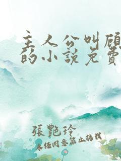 主人公叫顾北弦的小说免费阅读