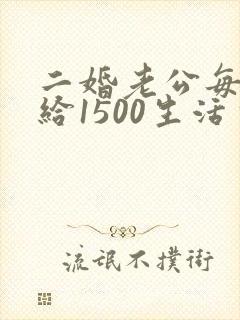 二婚老公每个月给1500生活费