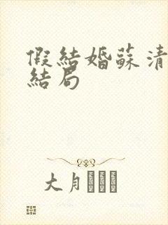 假结婚苏清月大结局