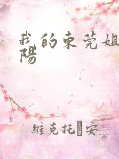 我的东莞姐姐曹阳