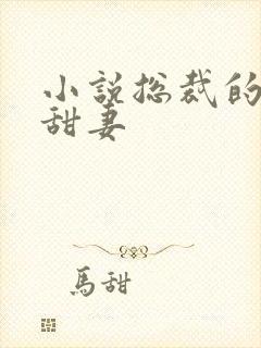 小说总裁的团宠甜妻