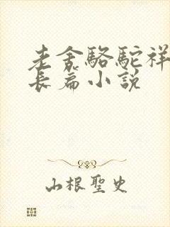 老舍骆驼祥子是长篇小说