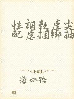 性调教虐尖叫支配虐捆绑抽打调教男