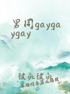 男同gaygaygay