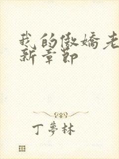 我的傲娇老婆最新章节