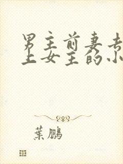 男主前妻去世爱上女主的小说