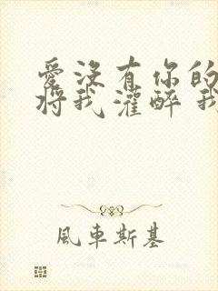 爱没有你的爱会将我灌醉 我没有所谓