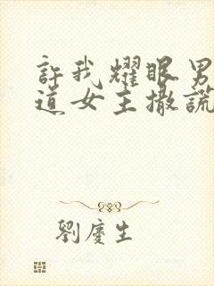 许我耀眼男主知道女主撒谎