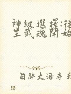 神级选择:从双生武魂开始笔趣阁