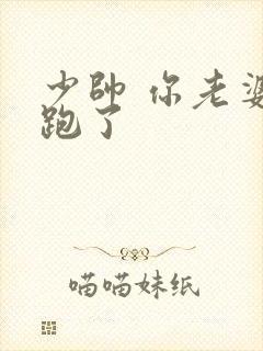 少帅 你老婆又跑了