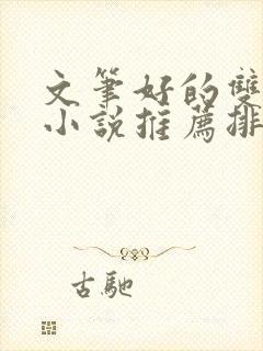 文笔好的双男主小说推荐排行榜